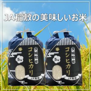 ふるさと納税 稲敷市 【令和5年産】コシヒカリ精米10kg(コシヒカリ5kg×2)