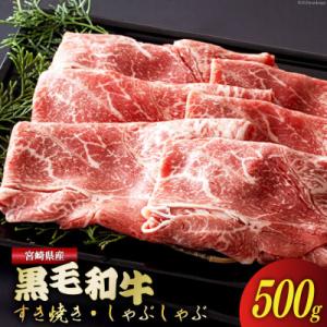 ふるさと納税 美郷町 【数量限定】宮崎県産黒毛和牛スライス 500g(美郷町)