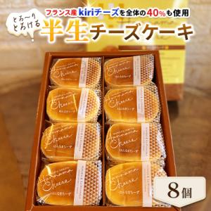 とろ～りとろける半生チーズケーキ　8個