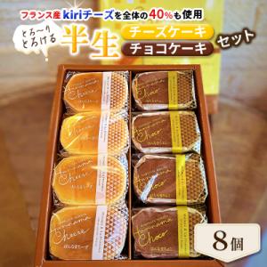 とろ～りとろける半生チーズケーキと半生チョコケーキのセット　8個