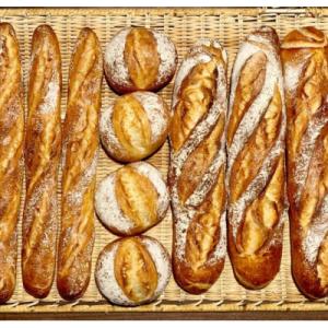 ふるさと納税 榛東村 フランスパン　リヨン セット