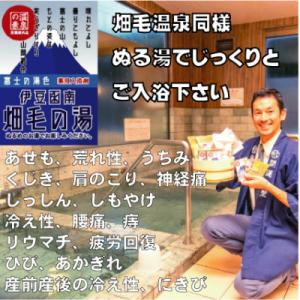 ふるさと納税 函南町 【薬用入浴剤】伊豆函南畑毛の湯:畑毛温泉の成分そのままの「温泉の素」富士の湯色...