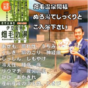 ふるさと納税 函南町 【薬用入浴剤】伊豆函南畑毛の湯:畑毛温泉の成分そのままの「温泉の素」若竹の湯色...