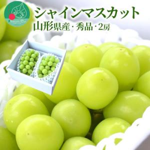 ぶどう シャインマスカット 大粒 2房 ギフト箱入り 山形県産 【令和8年産 先行予約】