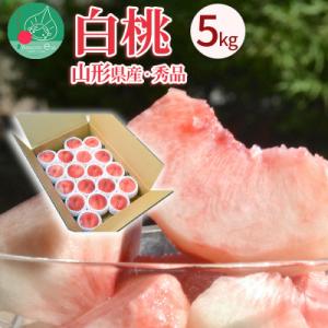 ふるさと納税 山形県 白桃 5kg(約16〜20玉前後) ギフト用 秀品 品種おまかせ 山形県産 [令和8年産 先行予約]