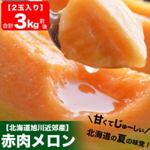 【先行受付】北海道産赤肉メロン3kg前後2玉入2026年7月中旬から順次発送開始予定_01979