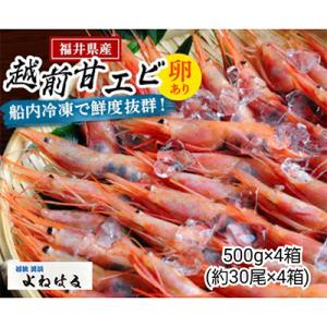 ふるさと納税 美浜町 大好評!越前甘エビ　2kg【卵あり大サイズ】(1箱約30尾入りを4箱お届けします)｜y-sf