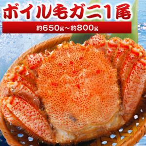 【2025製造】ボイル毛ガニ1尾650g～800g