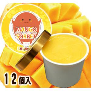 ふるさと納税 小野市 La goccia 自家製マンゴーソルベ90g　　　12個セット