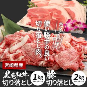 ふるさと納税 木城町 宮崎県産黒毛和牛&amp;宮崎県産豚肉切落し　3kgセット