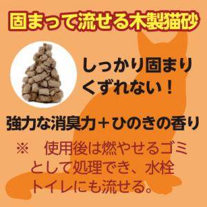 ふるさと納税 常陸太田市 常陸化工 Fine ...の詳細画像1