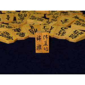 ふるさと納税 葛飾区 清夏作錦旗御蔵島黄楊斑入...の詳細画像1