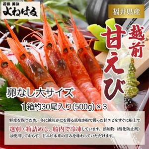 ふるさと納税 美浜町 大好評!越前甘エビ　1.5kg【卵なし大サイズ】(1箱約30尾入りを3箱お届け...