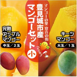 【2026年8月より順次発送】豊見城産マンゴーセット(小)