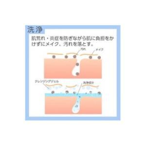 ふるさと納税 枚方市 クリューベル プラチナC...の詳細画像1