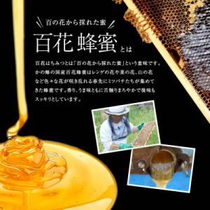 ふるさと納税 八女市 かの蜂の国産純粋蜂蜜 百...の詳細画像2