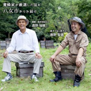 ふるさと納税 八女市 かの蜂の国産純粋蜂蜜 百...の詳細画像3