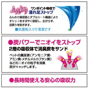 ふるさと納税 茨城町 消臭炭シート ダブルスト...の詳細画像3