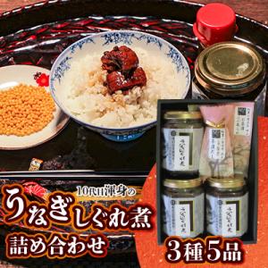 ふるさと納税 香取市 10代目渾身のうなぎしぐれ煮詰め合わせ(3種5品)