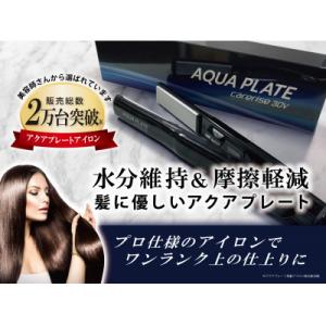 ふるさと納税 藤枝市 ケアライズ　3DV　アクアプレート　ヘアアイロン【SI-120V】