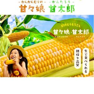 【6月中旬～順次発送予定】甘々娘 or 甘太郎　とれたてフィルム　8～12本(3L～L)