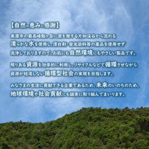 ふるさと納税 美濃市 トイレットペーパー【天使...の詳細画像3