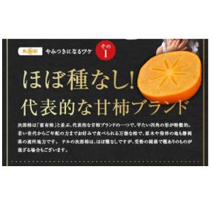 ふるさと納税 浜松市 訳あり　テルの次郎柿『長寿郎』20玉〜32玉入り(3L〜M)