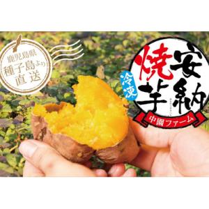 ふるさと納税 西之表市 中園ファームの熟成安納芋焼き芋(冷凍)3.6kg(業務用袋1.2kg×3袋)