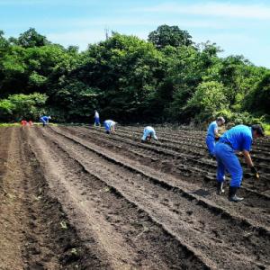 ふるさと納税 大仙市 えごま油「翡翠」(ひすい...の詳細画像2