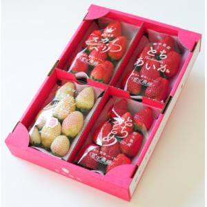 よりどりみどり!　栃木いちご4種詰め合わせ　(300g×4パック)