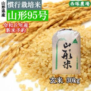 ふるさと納税 最上町 【新米 先行受付】令和6年産 慣行栽培米 山形95号　玄米 30kg　山形県産...