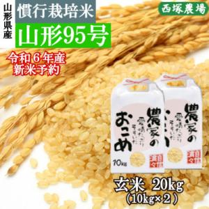 【さとふる限定】先行受付　令和8年産 慣行栽培米 山形95号　玄米 20kg　山形県産　西塚農場