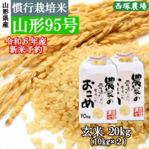 ふるさと納税 最上町 【新米 先行受付】令和6年産 慣行栽培米 山形95号　玄米 20kg　山形県産　西塚農場のお米