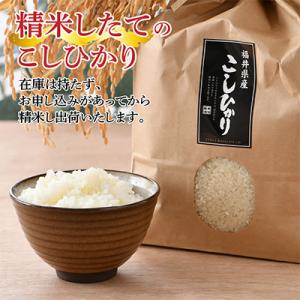 ふるさと納税 小浜市 福井県産こしひかり3kg...の詳細画像1