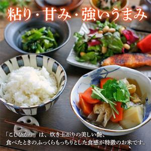 ふるさと納税 小浜市 福井県産こしひかり3kg...の詳細画像3