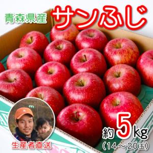 送料無料 宮崎県産たまご「きみ恋卵」5kg(75個)＋破損補償5個入り