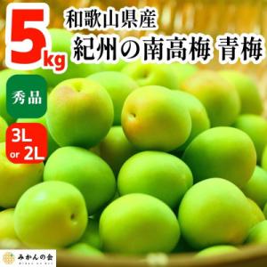 ふるさと納税 有田川町 青梅 南高梅 5kg 秀品 3Lまたは2Lサイズ 和歌山県産 A品 梅酒作り用 梅ジュース作り用｜さとふる