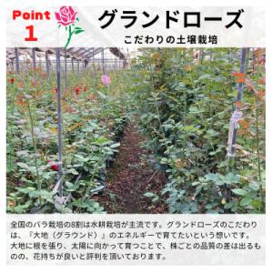 ふるさと納税 田原市 バラの花束 訳ありチャー...の詳細画像1