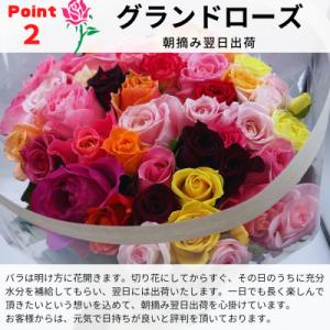 ふるさと納税 田原市 バラの花束 訳ありチャー...の詳細画像2