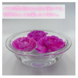 ふるさと納税 田原市 バラの花束 訳ありチャー...の詳細画像3