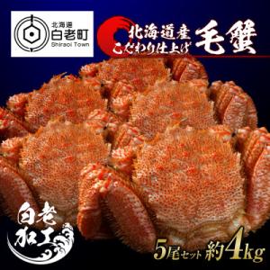 ふるさと納税 白老町 毛蟹 ボイル済み 冷凍 5...の商品画像