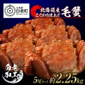 ふるさと納税 白老町 毛蟹 ボイル済み 冷凍 5尾セット 約2.25kg BM056