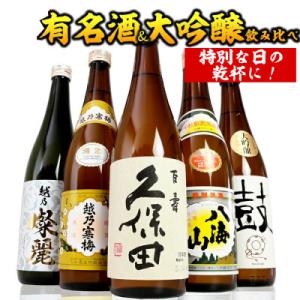 ふるさと納税 新潟県 新潟有名酒と純米大吟醸、大吟醸飲み比べ720ml×5本｜y-sf