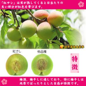 ふるさと納税 若狭町 越前若狭食宝庫【訳あり】...の詳細画像2
