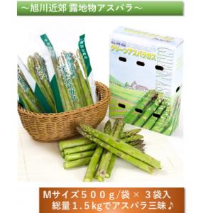 【2026年5月中旬発送開始予定】グリーンアスパラギフト 全て露地物Mサイズ1.5kg _02163
