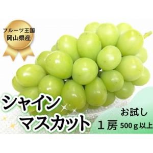 【2026年先行受付】フルーツ王国岡山シャインマスカット500g以上!　朝採れぶどう1房
