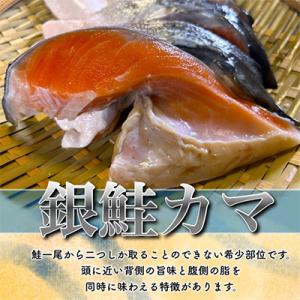 ふるさと納税 鮭 いすみ市 【訳あり】人気海鮮...の詳細画像2