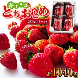 春イチゴ『とちおとめ』(260g×4パック)