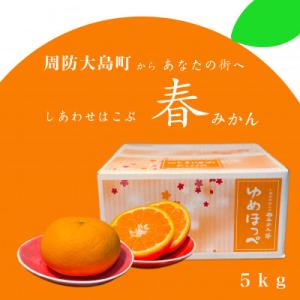 ふるさと納税 山口県 [2027年3月頃より順次発送]ゆめほっぺ