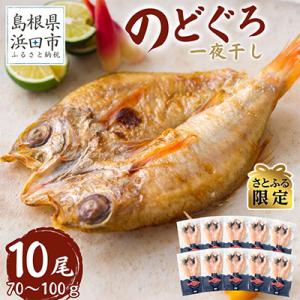 【さとふる限定】シーライフののどぐろ一夜干し10枚「お試しセット」